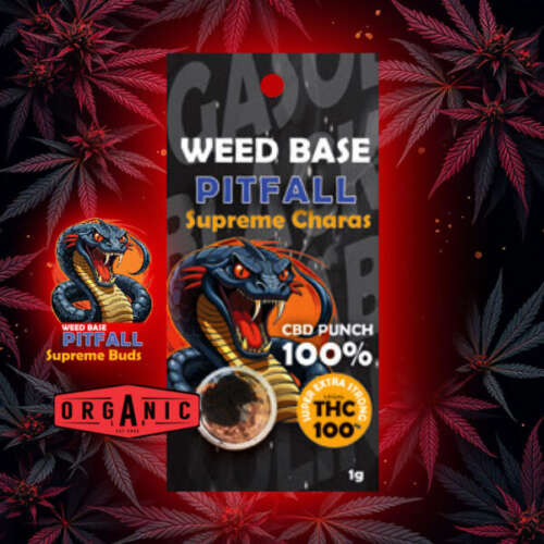 Weed Base – Pitfall Supreme Charas CBD PUNCH 100% 2gr